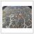 10ft × 14ft 2in Turkish Contemporary Oushak Area Rug 7 thumbnail
