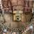 Alligator Dooney & Bourke Satchel Real ALLIGATOR Handbag TAN Charm Bag 16 thumbnail