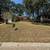 Charming 3 Bed, 2 Bath Home in Sherwood | Available 8/22 | $1800/mo 1 thumbnail