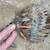 2 Headbands - Feather Fan (metal) & Vintage Button Crown (plastic) ea. 9 thumbnail
