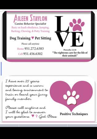Dog Training & Boarding 1