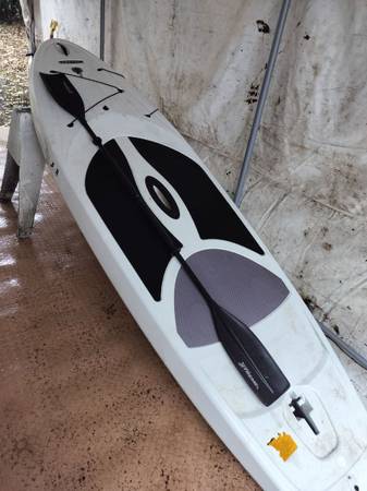 Paddle Board 1