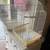 Bird Cages 1 thumbnail