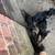 Doberman puppyes ready for new home 2 thumbnail