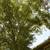 Between Portland & Gresham, Downtown Portland Minutes Away - 2Bed 14 thumbnail