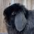 Holland Lop Baby Rabbits 16 thumbnail