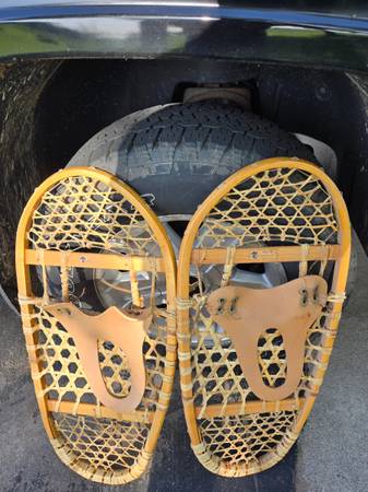 Snowshoes 1