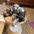 adorable kittens with unique markings 2 thumbnail