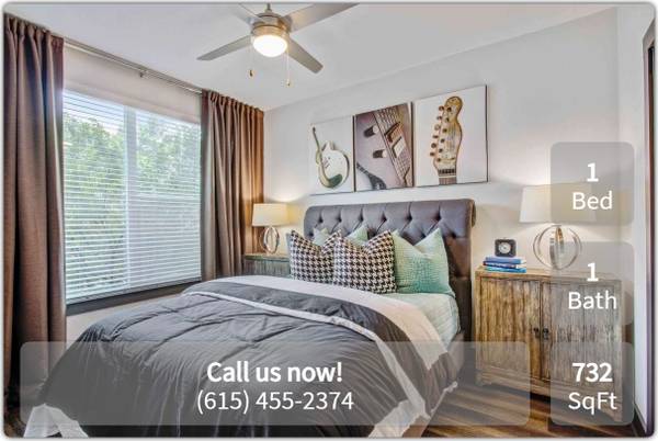 $1,845 / 1br - 732ft2 - Magnificent luxury building. 1 bed, 1 ba, 732 sqft. Stop by today! (Nashville - First Tennessee Park)63924811635202122