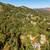 1.75 acres in Bay Area for $170,000....um, what? 11 thumbnail