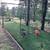 Turf - 9.5'x45' Rolls -1100 lbs - $0.55! 6 thumbnail
