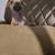 3 CHIHUAHUA PUPPIES 7 thumbnail