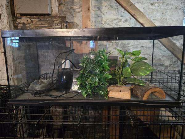 Glass reptile tank 1