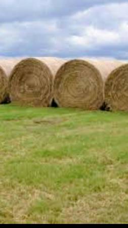 5x6 Net wrapped hay bales 1