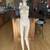 Adult Female - Full Body Mannequin 10 thumbnail