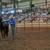 ROUND PEN PANELS*CORRAL PANELS*GATES*ANY STYLE OR WEIGHT 23 thumbnail