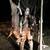 All Day Deer Hunts 2 thumbnail