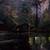 Gallery Framed Artwork Cabin in the Lillipad Swamp 2 thumbnail