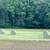 2025 round bales for sale 2 thumbnail