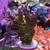 Coral SPS Frags & Mini Colonies - WYSIWYG - Acros, Montis !! 10 thumbnail