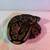 Ball Pythons 6 thumbnail