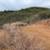 10 Acres Croy Road, Expansive views! Large pads! 4x4 or truck 9 thumbnail