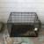 Dog carrier, crate, cage. The carrier is in great condition. 5 thumbnail