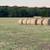 *** 5x5 Round Hay Bales *** 1 thumbnail