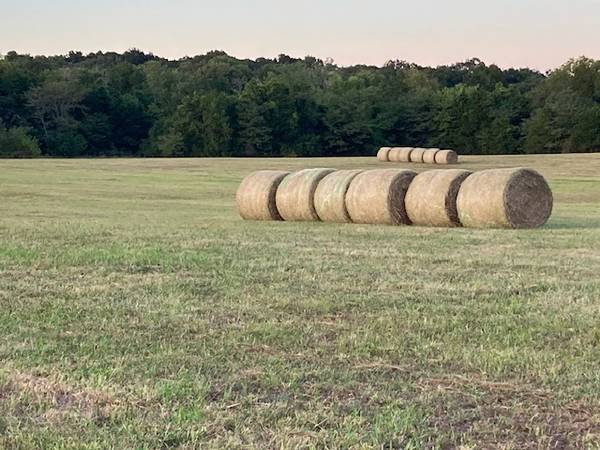 *** 5x5 Round Hay Bales *** 1