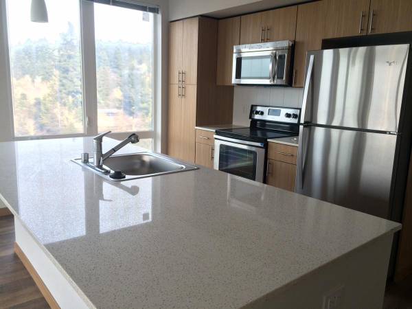 $3,456 / 2br - 1270ft2 - Quartz kitchen countertops with full height ceramic tile backsplash (Redmond)63874307426689120