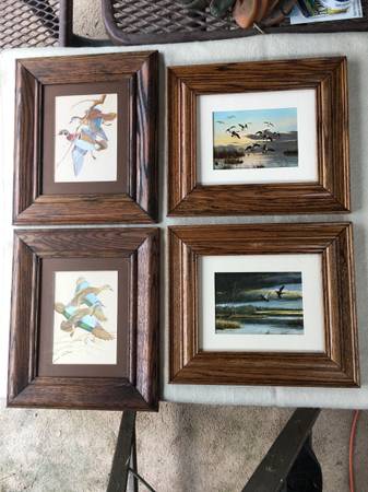 Waterfowl Prints 1
