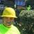 TREE  REMOVE & CLEAN UP SERVICES PREVENT FIRE EAST BAY 6 thumbnail
