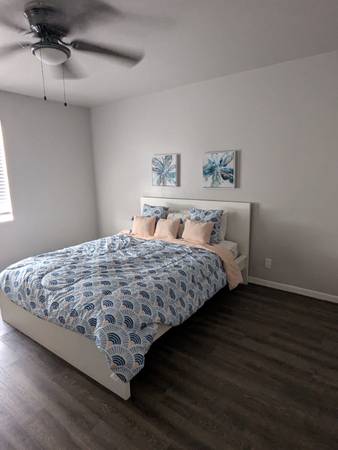 $1290.00 / 2br - 1100ft2 - Palm Shores63812532436865121