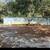 2 Bed  1 Bath on 1 Acre 1 thumbnail