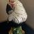 Intrada Italian Rooster 2 thumbnail