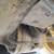 2000 John Deere 624H Wheel Loader 19 thumbnail