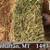 Online, Video, Hay Auctions every Wednesday 10 thumbnail