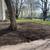 🌲🌼🌺JARELY’S LANDSCAPING & TREE SERVICE LLC🌼🌺🌳 17 thumbnail