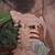 Bearded Dragon 3 thumbnail