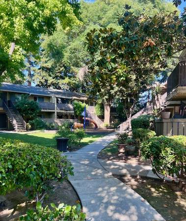 $1,895 / 432ft2 - Look at this $1895 Studio Newly Renovated! $1000 off FIRST MONTH! (willow glen / cambrian)63695840109827123