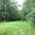 13 Acres Wooded Residential  Lots 5 thumbnail