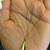 14K Yellow Gold necklace with Beautiful Pendant in shape of a Leave 10 thumbnail