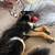 German Shepherd Rehoming 5 thumbnail