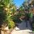 Spacious Studio Available-1326 N Flores 18 thumbnail