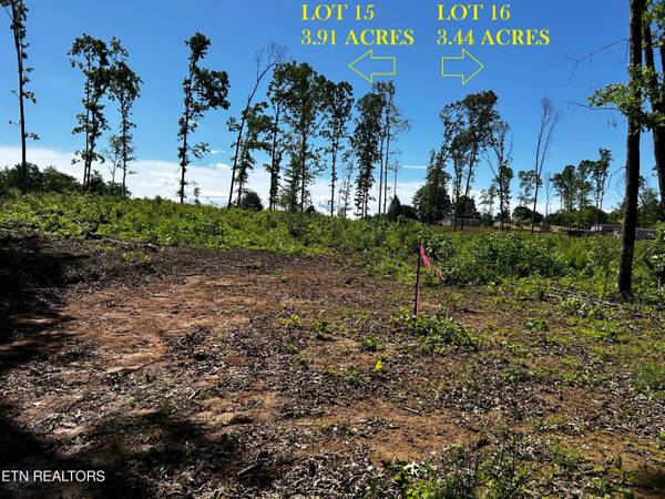 $125,000 SIN RESTRICCIONES - FRENTE A LA NUEVA CARRETERA HWY 68 (Madisonville)63815695243393124