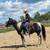 Family Horses 3 thumbnail