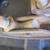 Meyer plow feet 4 thumbnail