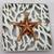 Metal Shells/Starfish on Coral Look Background 3 thumbnail