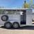 2024 Calico 14x6 Stock BP Stock Trailer 11 thumbnail