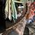Ball python 3 thumbnail